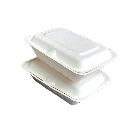 Biodegradable-Paper-Pulp-Sugarcane-Bagasse-Disposable-Food-Ppaper-Packaging